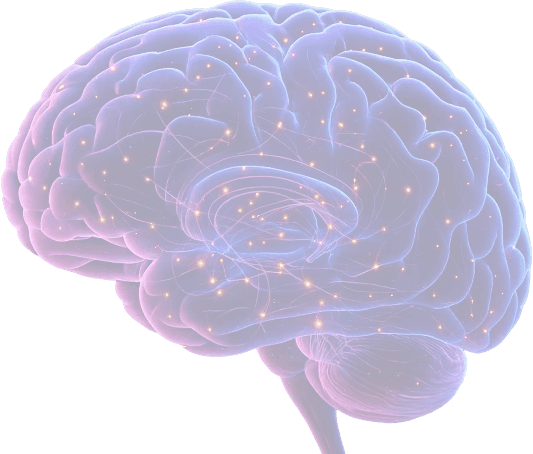 ontolos-brain-bg